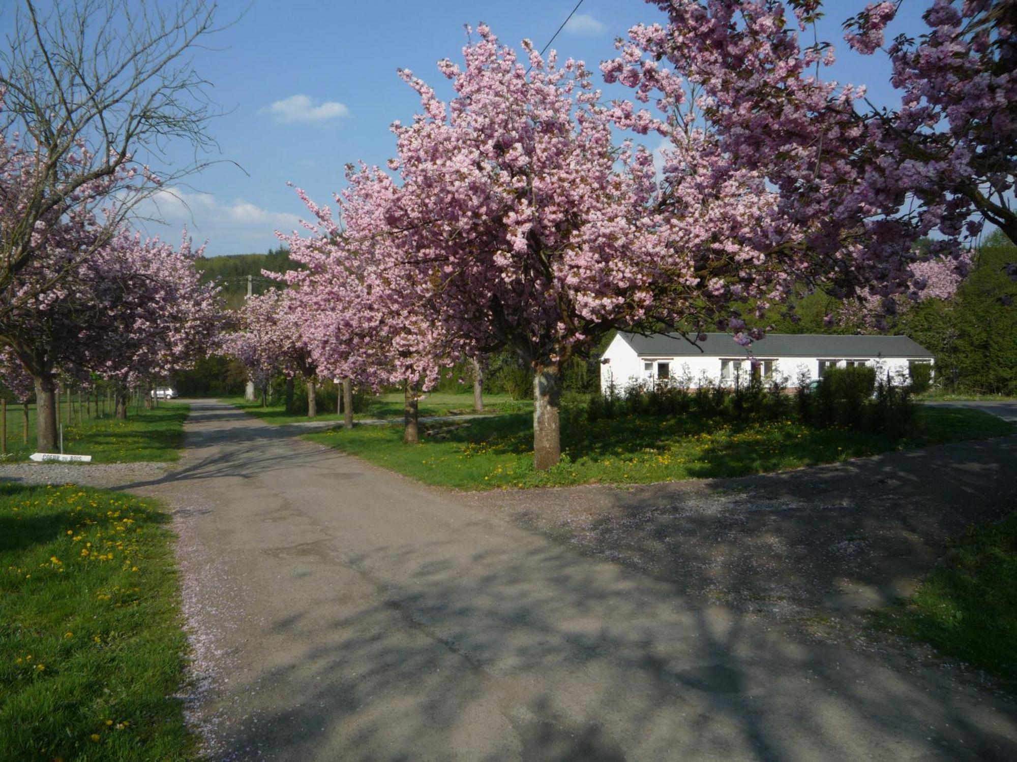 Le Brissoneau Rendeux Motel Buitenkant foto
